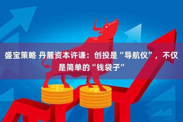 盛宝策略 丹麓资本许谦：创投是“导航仪”，不仅是简单的“钱袋子”